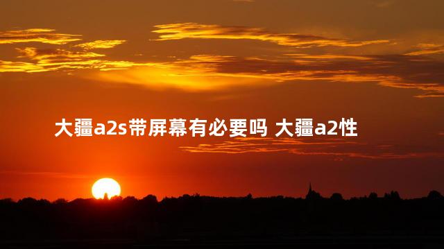 大疆a2s带屏幕有必要吗 大疆a2性能怎么样